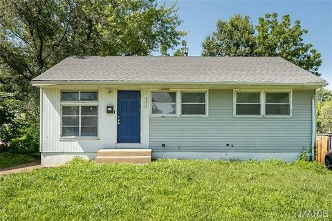 Photo of 375 Cameron Road, St Louis, MO 63137 (MLS # 26044359)
