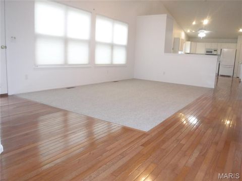 Tiny photo for 24 Lienemann Court, St Peters, MO 63303 (MLS # 26009110)