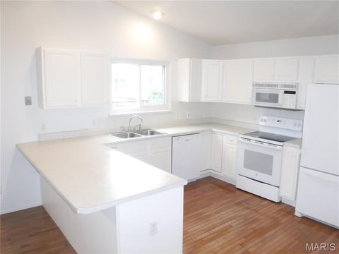 Tiny photo for 24 Lienemann Court, St Peters, MO 63303 (MLS # 26009110)