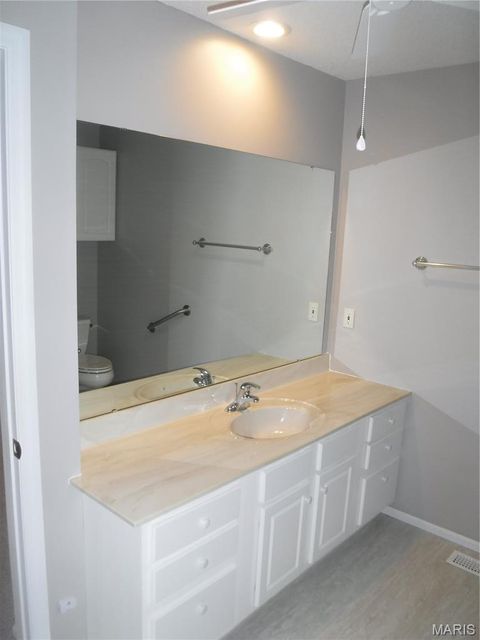 Tiny photo for 24 Lienemann Court, St Peters, MO 63303 (MLS # 26009110)