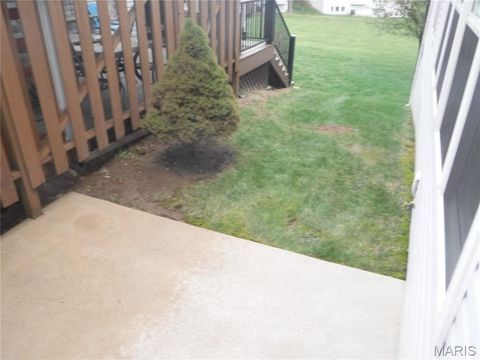 Tiny photo for 24 Lienemann Court, St Peters, MO 63303 (MLS # 26009110)