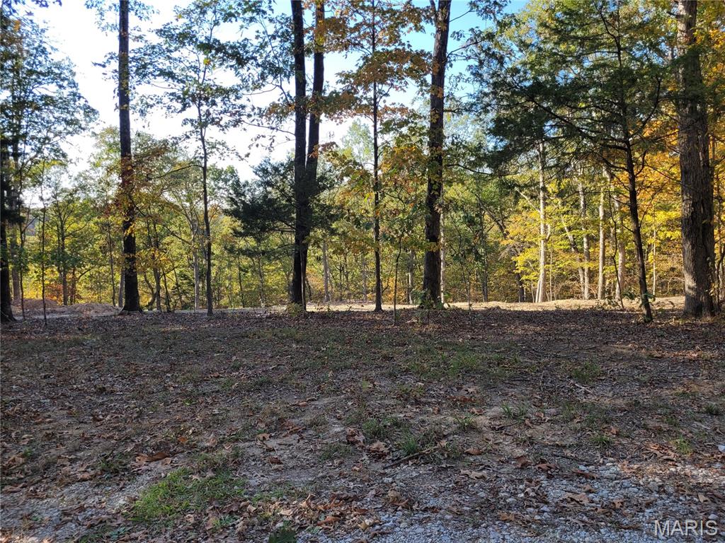 161 Steeple Point Drive