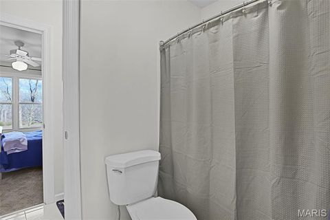 Tiny photo for 17669 Lasiandra Drive, Wildwood, MO 63005 (MLS # 26013056)