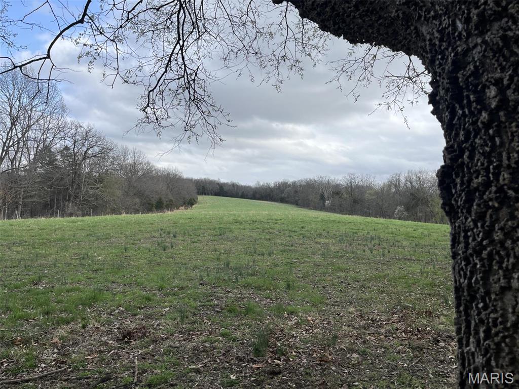 0 31.26+/- Ac Tract #3 Horstman Road