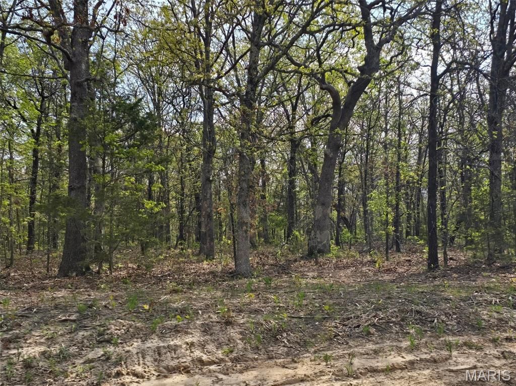Photo of Tract N Greatview Lane, Lebanon, MO 65536 (MLS # 26019767)