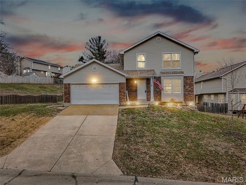 7511 Hillcress Court Barnhart MO 63012