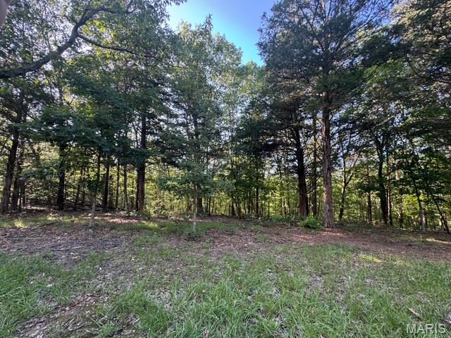 130 Steeple Point Dr. Lot #12 Drive