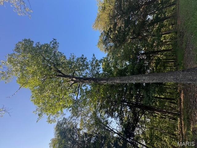 130 Steeple Point Dr. Lot #12 Drive