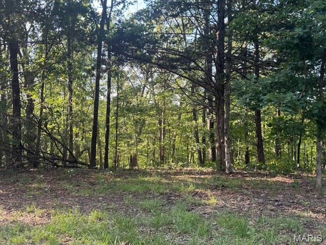 130 Steeple Point Dr. Lot #12 Drive