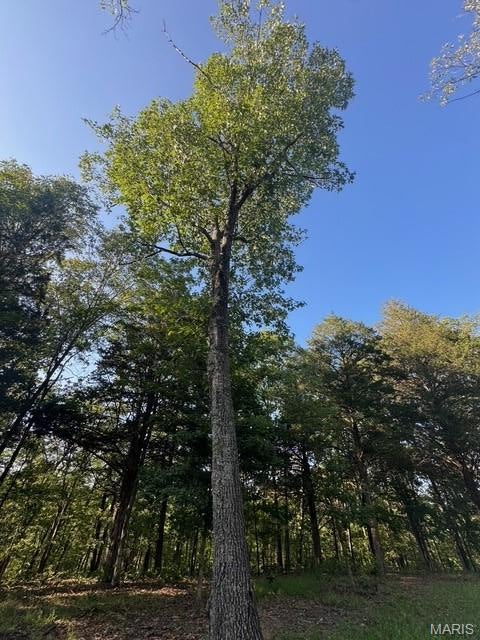 130 Steeple Point Dr. Lot #12 Drive