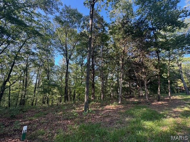 130 Steeple Point Dr. Lot #12 Drive