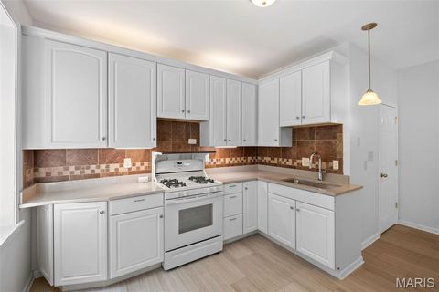 Tiny photo for 3850 Detonty Street, St Louis, MO 63110 (MLS # 26017382)