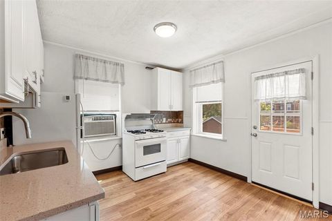 Tiny photo for 3850 Detonty Street, St Louis, MO 63110 (MLS # 26017382)