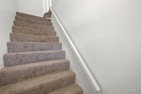 Tiny photo for 3850 Detonty Street, St Louis, MO 63110 (MLS # 26017382)