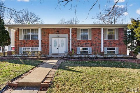 Photo of 821 Courtland Place, Manchester, MO 63021 (MLS # 25082316)