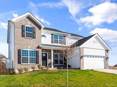 286 Osprey Court Lake St Louis MO 63367
