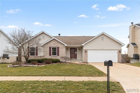 14 Winter Valley Drive Fenton MO 63026