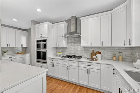 Tiny photo for 506 Coverdale Lane, Kirkwood, MO 63122 (MLS # 25066850)