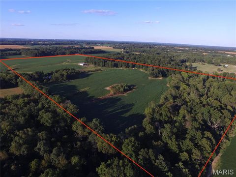 9647 E Barat Rd. Mount Vernon IL 62864