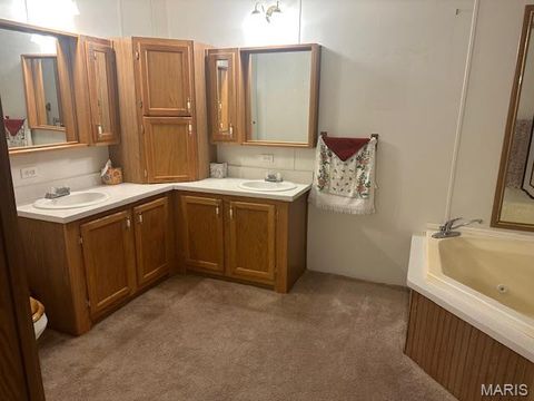 Tiny photo for 5600 Meadow Lane, Farmington, MO 63640 (MLS # 26019258)