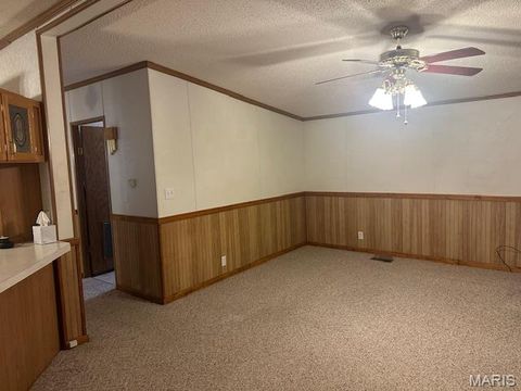 Tiny photo for 5600 Meadow Lane, Farmington, MO 63640 (MLS # 26019258)