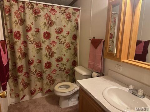 Tiny photo for 5600 Meadow Lane, Farmington, MO 63640 (MLS # 26019258)