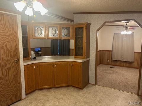 Tiny photo for 5600 Meadow Lane, Farmington, MO 63640 (MLS # 26019258)