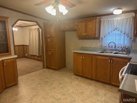 Tiny photo for 5600 Meadow Lane, Farmington, MO 63640 (MLS # 26019258)