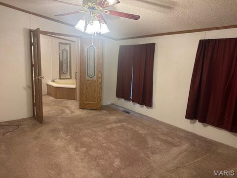 Tiny photo for 5600 Meadow Lane, Farmington, MO 63640 (MLS # 26019258)