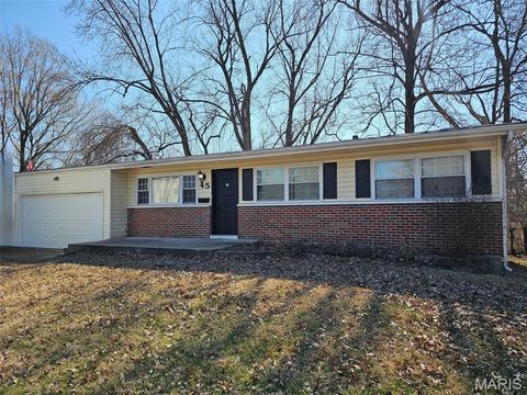 45 Saint Leonard Court St Charles MO 63301