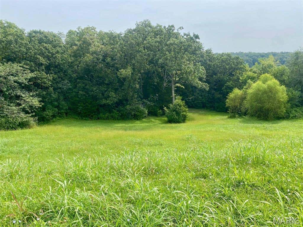 Photo of 132 Rainbow Lake Drive, Villa Ridge, MO 63089 (MLS # 26052410)