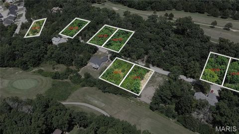 9660 Moonshine Drive Hillsboro MO 63050