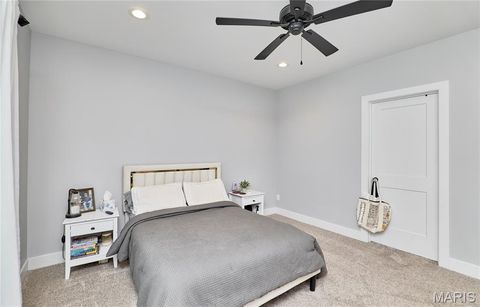 Tiny photo for 354 Pine Bluff Way, Troy, MO 63379 (MLS # 26021938)