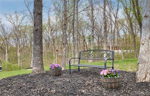 Tiny photo for 354 Pine Bluff Way, Troy, MO 63379 (MLS # 26021938)