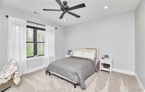 Tiny photo for 354 Pine Bluff Way, Troy, MO 63379 (MLS # 26021938)