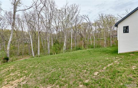 Tiny photo for 354 Pine Bluff Way, Troy, MO 63379 (MLS # 26021938)