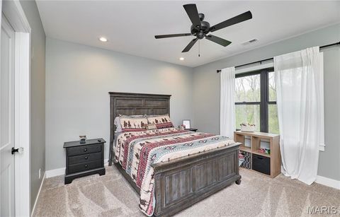 Tiny photo for 354 Pine Bluff Way, Troy, MO 63379 (MLS # 26021938)