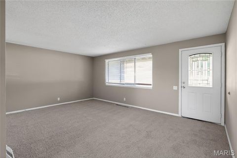 Tiny photo for 10336 Deem Drive, St Louis, MO 63136 (MLS # 26027422)
