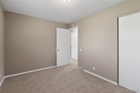 Tiny photo for 10336 Deem Drive, St Louis, MO 63136 (MLS # 26027422)