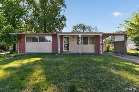Photo of 10336 Deem Drive, St Louis, MO 63136 (MLS # 26027422)