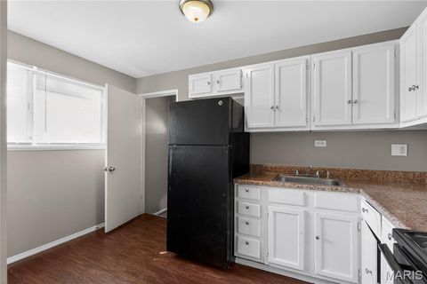 Tiny photo for 10336 Deem Drive, St Louis, MO 63136 (MLS # 26027422)
