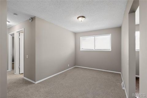Tiny photo for 10336 Deem Drive, St Louis, MO 63136 (MLS # 26027422)