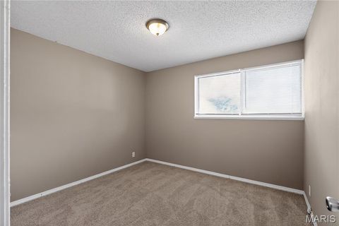 Tiny photo for 10336 Deem Drive, St Louis, MO 63136 (MLS # 26027422)