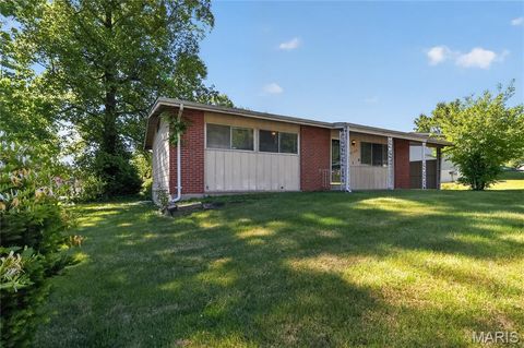 Tiny photo for 10336 Deem Drive, St Louis, MO 63136 (MLS # 26027422)