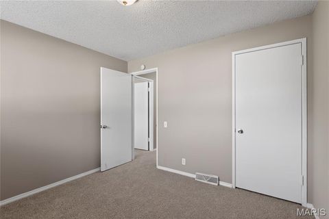 Tiny photo for 10336 Deem Drive, St Louis, MO 63136 (MLS # 26027422)