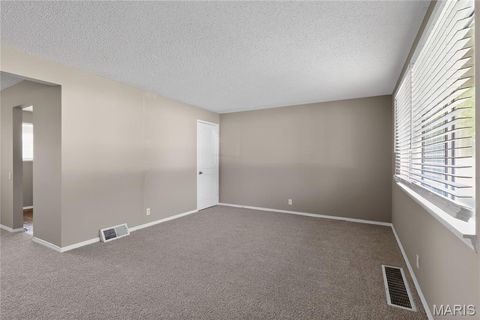 Tiny photo for 10336 Deem Drive, St Louis, MO 63136 (MLS # 26027422)