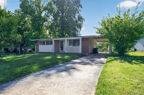 Tiny photo for 10336 Deem Drive, St Louis, MO 63136 (MLS # 26027422)