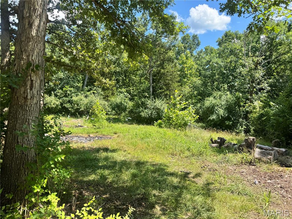 23088 Mark Peterson Drive - Photo 2