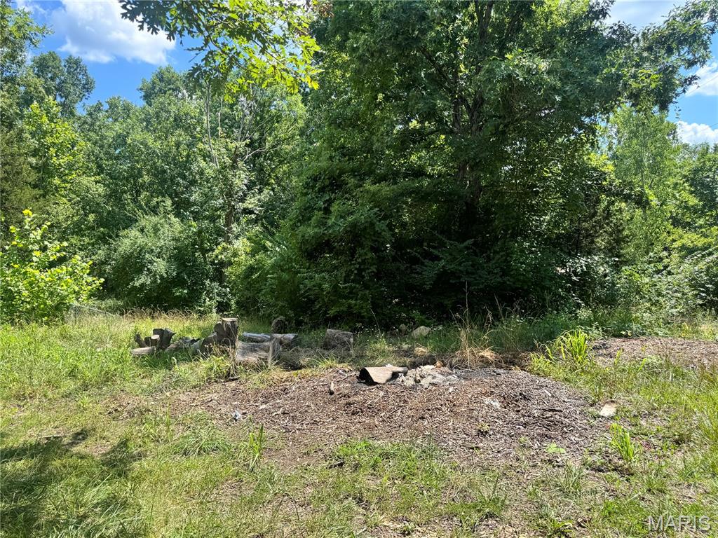 23088 Mark Peterson Drive - Photo 3
