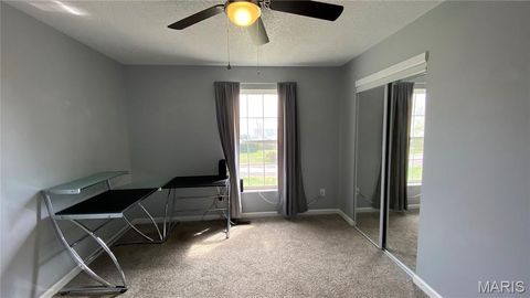 Tiny photo for 6252 Yellow Brick Road, Washington, MO 63090 (MLS # 26018724)